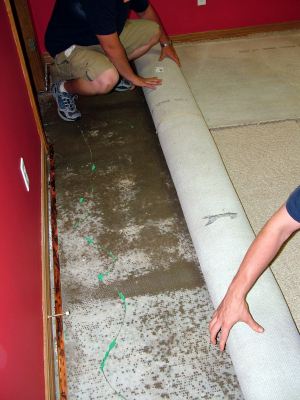 Belmont water damaged carpet being removed by two men.