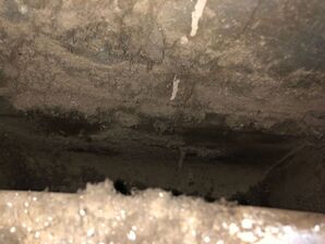 Before & After Air Duct Cleaning in Raleigh, NC (1)